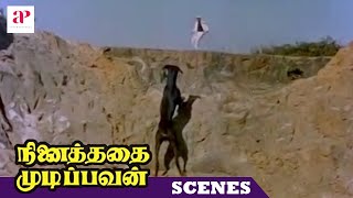 Ninaithathai Mudippavan Movie Chase Scene | Goons chase Sharada's canine | MGR | M N Nambiar