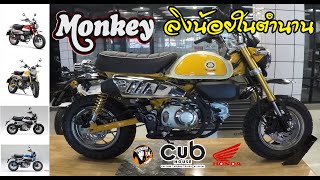 CUB HOUSE HONDA MONKEY 125  ลิงน้อยในตำนาน