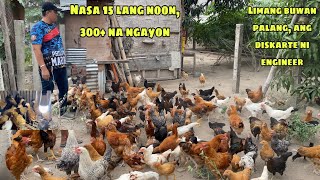 NASA 15 NOON, 300+ NA NGAYON LIMANG BUWAN PALANG | ANG DISKARTE NI ENGINEER SA KANYANG MANOKAN