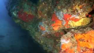 Sardinia - Underwater Video (Nex-7)