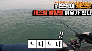 [4K] 인천 갑오징어 낚시!! 캐스팅 방향엔 이유가 있다??