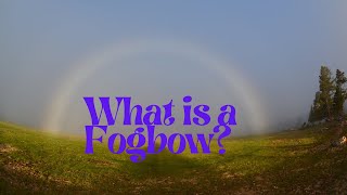 What is a Fogbow?