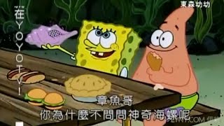 章魚哥 你為什麼不問問神奇海螺呢