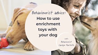 How to use enrichment toys with your dog