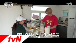 fooddiary 태용vs보아, 식량일기 대표 셰프는? 180620 EP.4