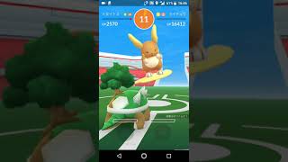 ポケモンGO「ソロレイドでライチュウ（アローラのすがた）をGETするまで」（3）