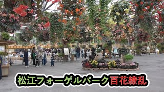 松江フォーゲルパーク全国有数の花と鳥のテーマパーク1年中、百花繚乱　1500品種7000鉢の花を見る事が出来ます