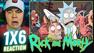 Rick and Morty 1x6 REACTION | "Episode 6: Rick Potion #9" FIRST TIME WATCHING | REVIEW