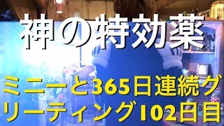 ミニーと365日連続グリーティング102日目〜特効薬〜 my Disney tour day 102 I meet minnie mouse