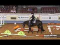 2023 nutrena aqha world and adequan select world select trail