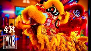 舞獅 - Múa Lân | Lion Dance - LSR