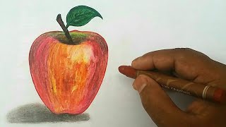 Apple drawing realistic (easy)/How to Draw Apple 🍎step by step