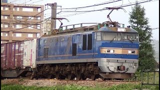 EF510-506牽引高速貨物　信越本線上り