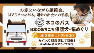 【5月28日 14:00~】ネコのバス 保護猫譲渡会＠カインズ朝霞店