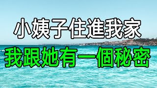 小姨子住進我家，我跟她有一個秘密 #家庭故事 #情感故事 #农村故事