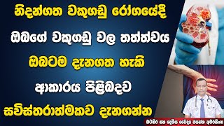 නිධන්ගත වකුගඩු රෝගයේදී ඔබගේ වකුගඩු වල තත්ත්වය ඔබටම දැනගතහැකි ආකාරය Staging Of Chronic Kidney Disease