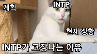 INTP 사용설명서 35.INTP가 고장나는 이유