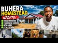 Rural Buhera Homestead Update: Starlink, New Dogs & a New Kitchen 