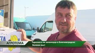 Агротема: Търсенето на зеленчуци в Благоевградско бележи ръст, автор: Снежана Любенова