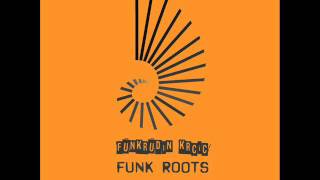 Funkrudin Krcic - Funk Roots