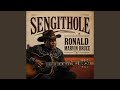 Sengithole