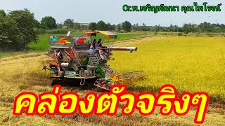 รถเกี่ยวข้าว พ.เจริญพัฒนา คุณไพโรจน์ คล่องตัวจัด