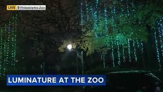 Luminature returns to Philadelphia Zoo