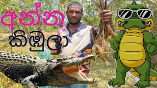 කිඹුල්ලු පිරුනු බේරිවිල වැව @FISHTv1129