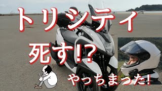 トリシティ転倒！主人ぼーぜん！！そんな所で(°д°)