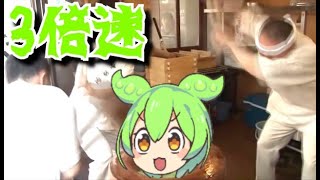 高速餅つきずんだもん3倍速 mp4