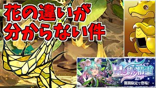 【星を紡ぐ精霊】ガチャ～まず花が出るかどうかみたいな世界～【パズドラ実況】