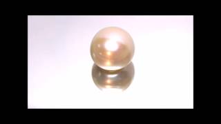 PEARL MOTI 10.45 CTS (245 324)