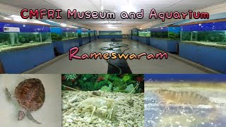 CMFRI Museum and Aquarium | Rameswaram