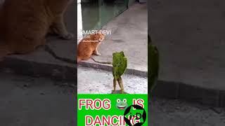 Frog dance watch know ☝️☝️😂🤣 on Ismart devi