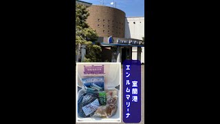 室蘭市【駅弁／母恋めし弁当】#shorts 久しぶりに食べても美味しかった！