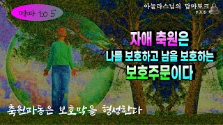 [#309] 모든 것은 에너지다 I 집단의식보다 높은 자애의 진동은 보호막을 형성한다 I 각자도생시대, 무량한 마음사용법만이 살 길이다 I 메따 to 5 I 아눌라스님의 담마토크