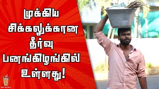 பனங்கிழங்கின் அபூர்வ நன்மைகள் | Benefits of Palmyra tuber | Theneer Idaivelai | EPI - 32