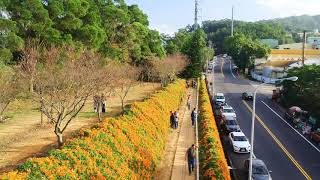 苗栗-銅鑼炮仗花步道 (銅鑼環保公園) 20190114