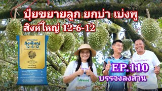 #กวินบินได้ EP.258 สิงห์ใหญ่ 12-6-12 ปุ๋ยขยายลูก ยกบ่า เบ่งพู ที่ทุกคนรอคอย #บรรจงลงสวน EP.110