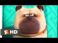 The Secret Life of Pets - Home Alone Scene | Fandango Family