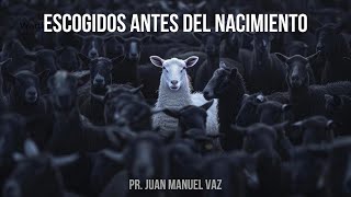 Escogidos antes del nacimiento - Juan Manuel Vaz