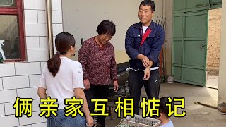 二丫回河北，公婆5点就上地里摘鲜枣，俩亲家互相惦记【二丫生活】