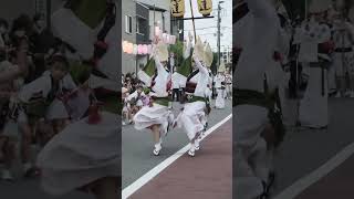 阿波踊り 華純連の男女混じってのダンス #shorts  #awadance #아와오도리