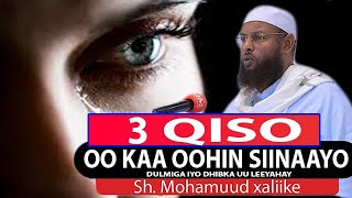 3 QISO OO KAA OOHIN SIINAAYO | DULMIGA IYO DHIBKA UU LEEYAHAY || Sh Maxamuud Xaliika