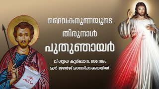 പുതുഞായർ  |  ദൈവകരുണയുടെ തിരുനാൾ