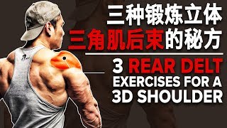 三种锻炼立体三角肌后束的秘方 (Eng Sub) | 3D Shoulder Rear Delt Exercises | Terrence Teo