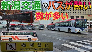 【新潟駅バスターミナル徹底解説】リムジンバスから路線バスまで！最新乗り場情報＆周辺スポット紹介