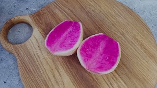 Simple but Delicious Radish Salad