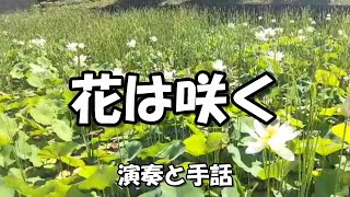 【花は咲く】ピアノ演奏と手話（歌詞・手話訳付）