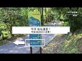 【 𝑽𝑳𝑶𝑮 🚗 8】新店安坑山區的綠寶石✨二叭子植物園（taipei xindian erbazi botanical garden） 台灣散步 ｜ねことの暮らし。 life with cat